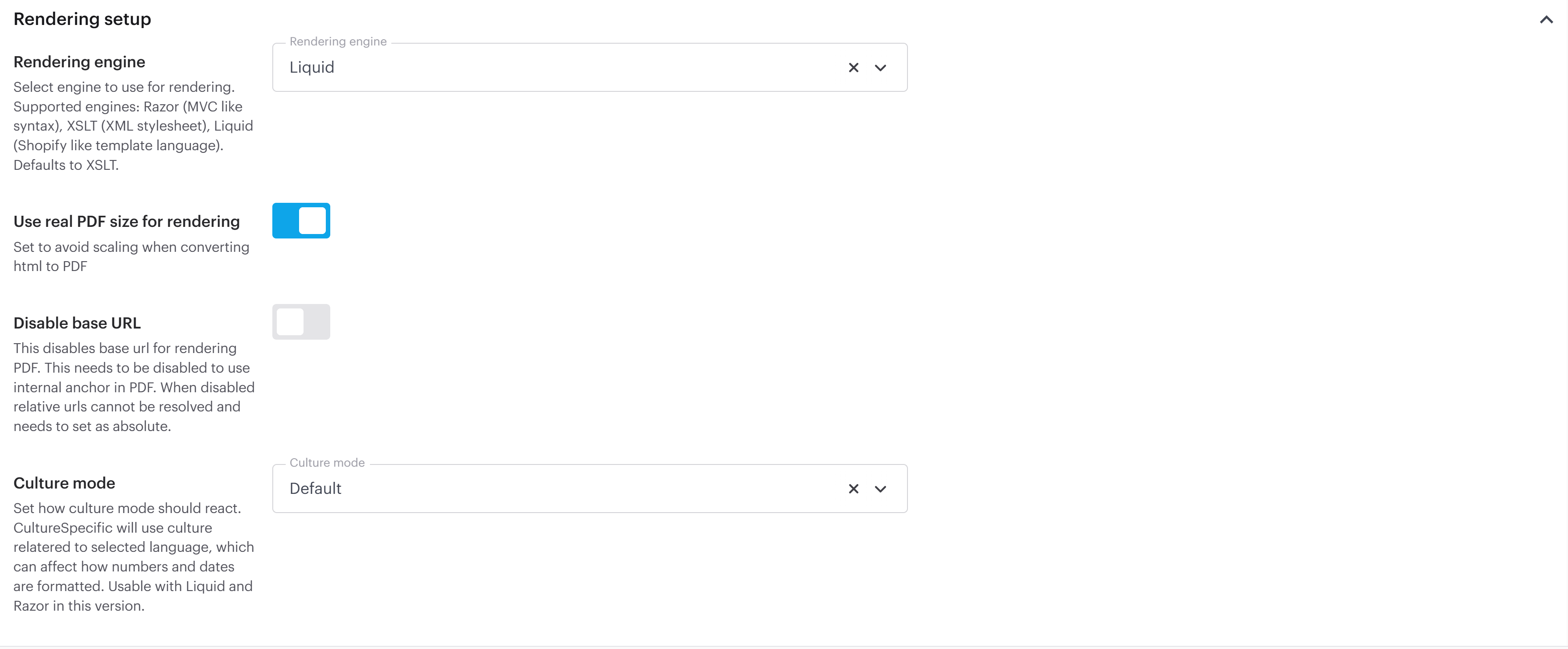 The rendering setup for the publication template